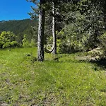 Authentique Cabanon Provencal Saint-André-les-Alpes