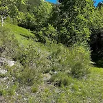 Authentique Cabanon Provencal Saint-André-les-Alpes