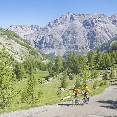 Σπίτι διακοπών Authentique Cabanon Provencal Saint-André-les-Alpes