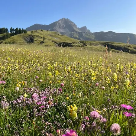 Authentique Cabanon Provencal *
