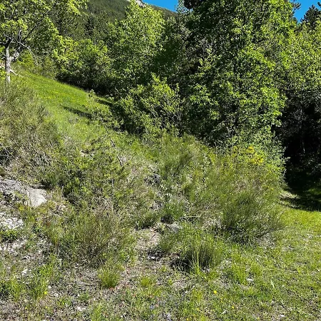 Authentique Cabanon Provencal Saint-André-les-Alpes