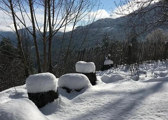Authentique Cabanon Provencal * Saint-Andre-les-Alpes