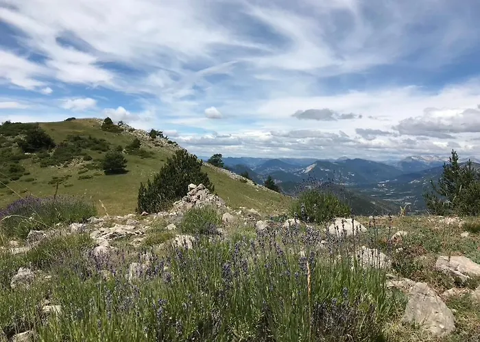 Holiday home Authentique Cabanon Provencal Saint-Andre-les-Alpes