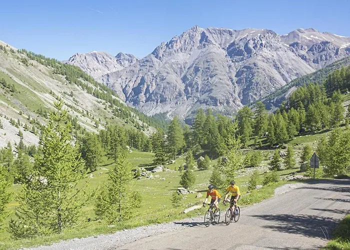 Holiday home Authentique Cabanon Provencal Saint-Andre-les-Alpes