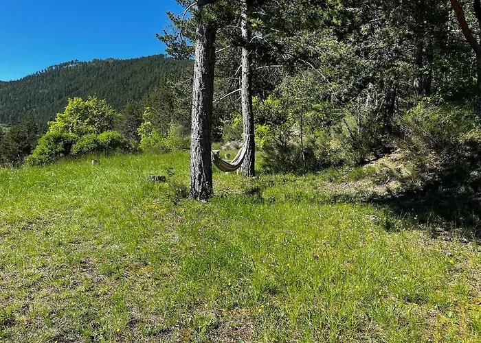 Authentique Cabanon Provencal Saint-Andre-les-Alpes