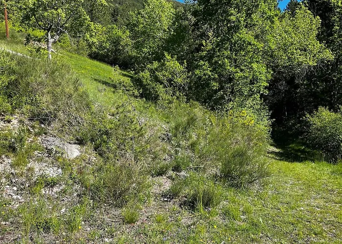 Authentique Cabanon Provencal Saint-Andre-les-Alpes